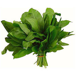 Насіння щавлю