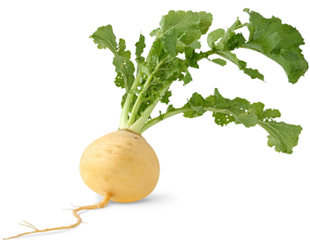 Насіння ріпи