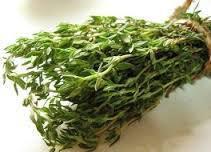 Насіння пряних і лікарських трав