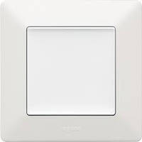 Legrand серія Valena Life (білий)