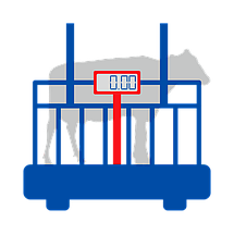 Ваги для зважування тварин