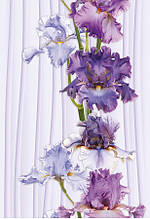 Панель ПВХ (250х8х6000)  ТП "Ирис декоративный" (Сумы)