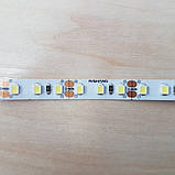 Світлодіодна стрічка нейтрально-біла 2835-120-IP33-NW-8-12 R08C0TA-C-DW RISHANG PREMIUM, фото 2