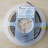 Світлодіодна стрічка нейтрально-біла 2835-120-IP33-NW-8-12 R08C0TA-C-DW RISHANG PREMIUM, фото 4