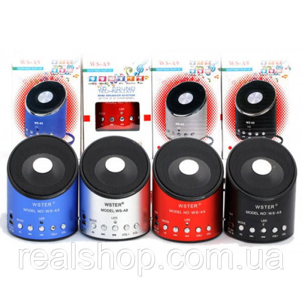 Колонка WSTER WS-A9 MP3/USB/MicroUSB/AUX/Radio (різні кольори)