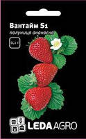 Насіння полуниці Вантайм S1, 0,02 гр., ТМ "ЛедаАгро"