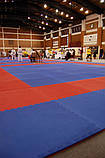 Спортивний килимок для боротьби 200*100*4 см., фото 5