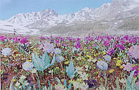 Набор вышивки бисером "Чарівна мить"