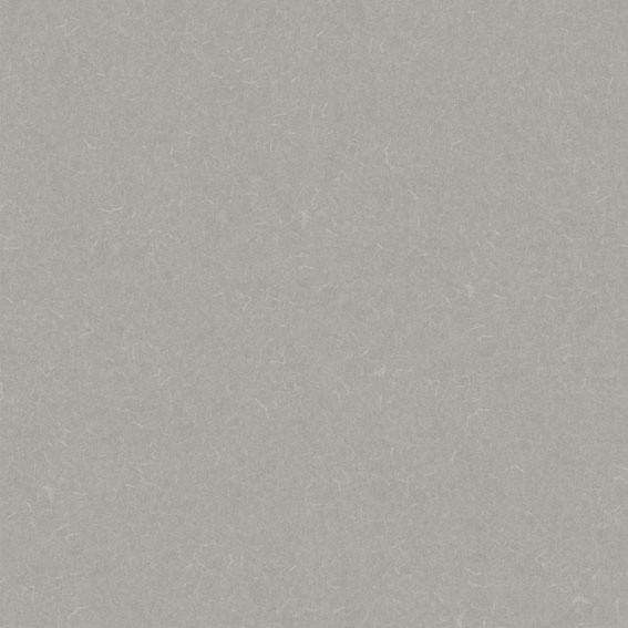 Grabo Silver Knight Acoustic 9