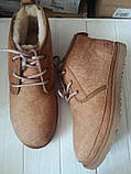 Зимові черевики уги UGG M Neumel TF оригінал, фото 4