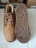 Зимові черевики уги UGG M Neumel TF оригінал, фото 3