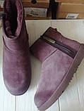Зимові уги UGG M Classic Mini Zip Waterproof оригінал, фото 4