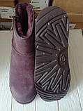 Зимові уги UGG M Classic Mini Zip Waterproof оригінал, фото 3