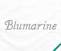 Термотрансферы на кеды Blumarine (Стекло,2мм-черн.)