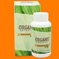 Wheatgrass - средство для похудения из ростков пшеницы от Organic Collection (Витграсс) - CЕРТИФИКАТ