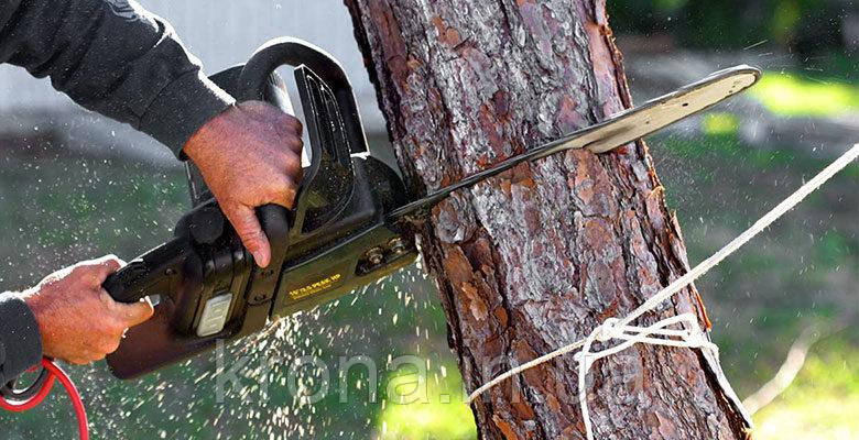 Спиляти дерево. Викорчувати пень. Скосити траву