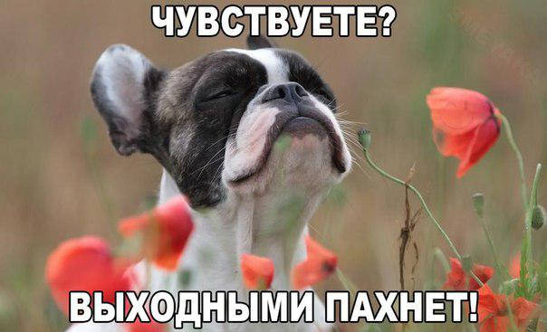 Вихідні дні