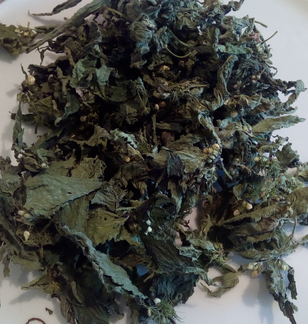 Глуха кропива біла / Глуха кропива (трава), 100г., фото 1