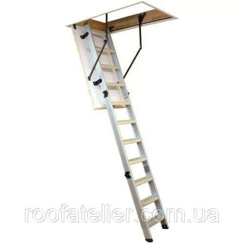 Сходи на горище Oman (Оман) POLAR