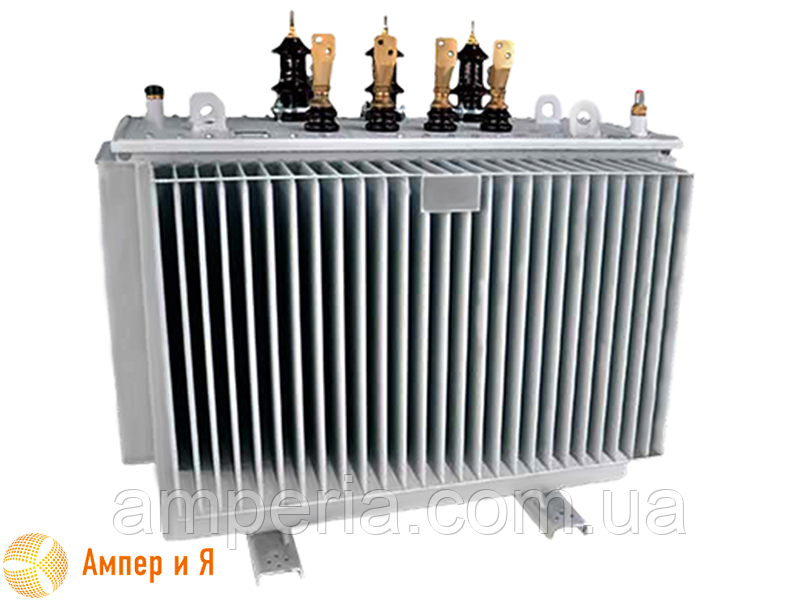 Трансформатор масляный ТМГ-1000 кВА, фото 2