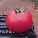 Пінк Кристал F1 (250 нас.) насіння томату Clause, фото 3
