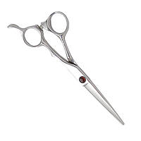 Ножиці для стрижки Carly 6.0EStyle