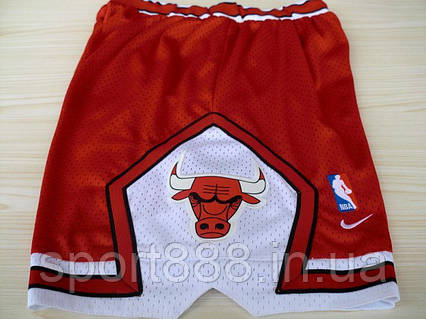 APPLEBUM 　Logo Basketball Mesh Shorts 1_caa98eaa-af72-4d2b-922b-