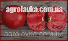 Насіння томату детермінантного КІБО F1 (KS 222 F1)(Kitano) 1000с