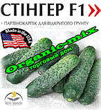 Насіння, огірок партенокарпічний кущовий Стингер F1 (1000 насінин) Spark Seeds (США), фото 2