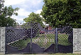 Ковані ворота, графіт 210 , фото 3