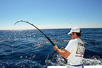 Прораховуємо результативність риболовлі з 7 по 9 листопада.