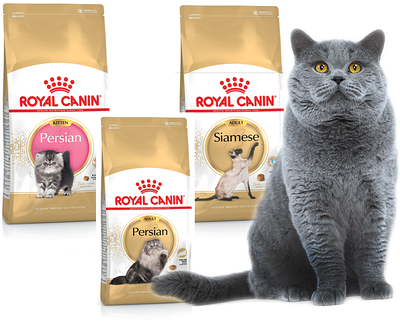 Royal Canin (Роял Канін) корм згідно породи кота