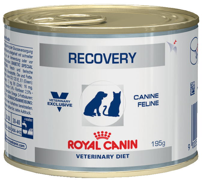Royal Canin Recovery корм вологий у період відновлення 195 г для собак, фото 1