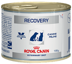 Royal Canin Recovery корм вологий у період відновлення 195 г для собак