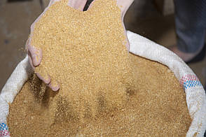 Дріжджі кормові СП 36-40%, (кукурудзяні) барда, фасовка 30 кг, фото 2