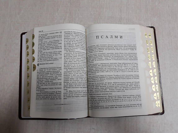 Святе письмо (шкіра), фото 3