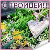 Вітаємо зі святом!