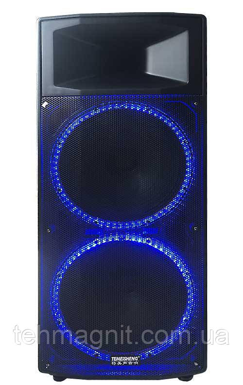 Акумуляторна портативна переносна колонка SL215-04 USB/Bluetooth/FM-радіо 400W