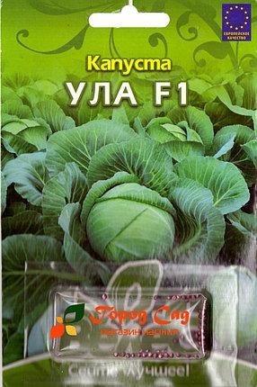 ТМ ВЕЛЕС Капуста білокачанна Ула F1 50шт інкр.