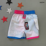 Шорти Monster High для дівчинки. 98, 104, 110 см, фото 4