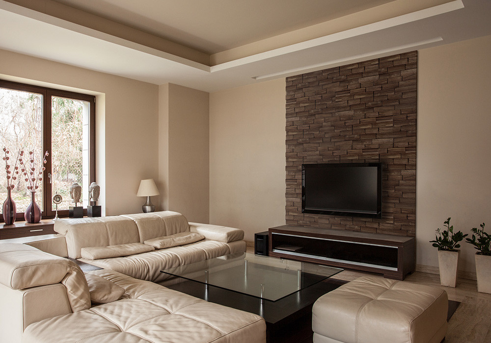 Декоративні панелі STEGU (AXEN)