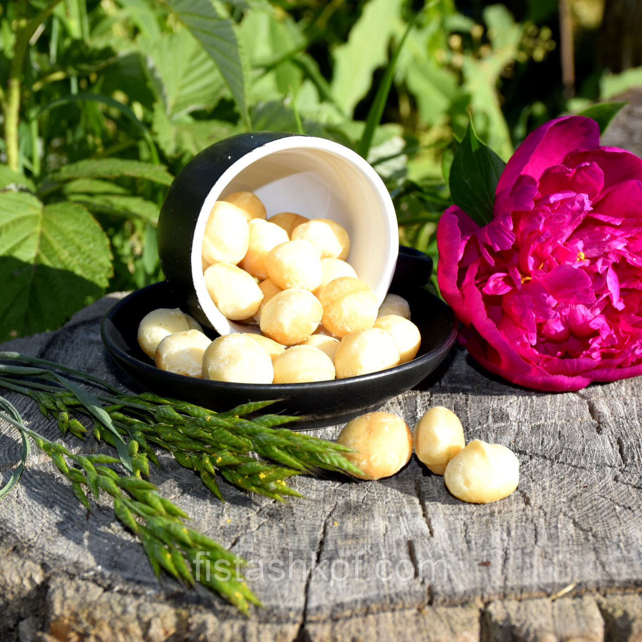 Горіх макадамія, фото 1