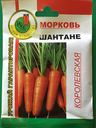 Насіння моркви Шантане 20 г, фото 1