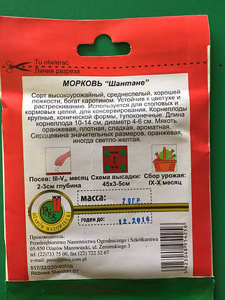 Насіння моркви Шантане 20 г, фото 3