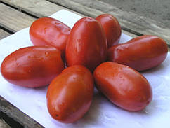Насіння томат Інкас F1 1000 насіння Nunhems 