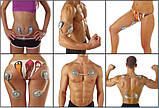 Gym Form Duo стимулятор для м'язів живота, фото 2