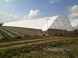 СЕЗОННІ ЛЕГКІ ТЕПЛИЦІ