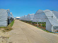 Теплиці з підсиленням і механізмом намотування плівки