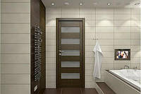 Які двері краще ставити у ванну