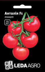Насіння томату Анталія F1, 10 шт., високорослого, ТМ "ЛедаАгро"